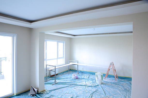 Best Repainting for Renovations  in Fruitland, IA